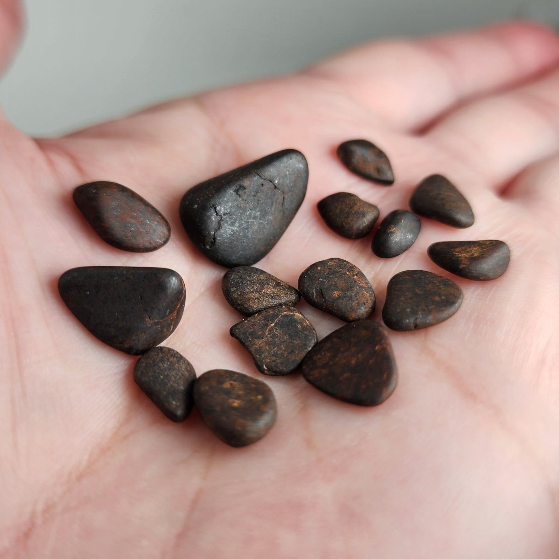 Northwest Africa NWA Meteorite | 15 Piece Lot | 8.8 Grams | Tumbled Individual Meteorites | Sahara
