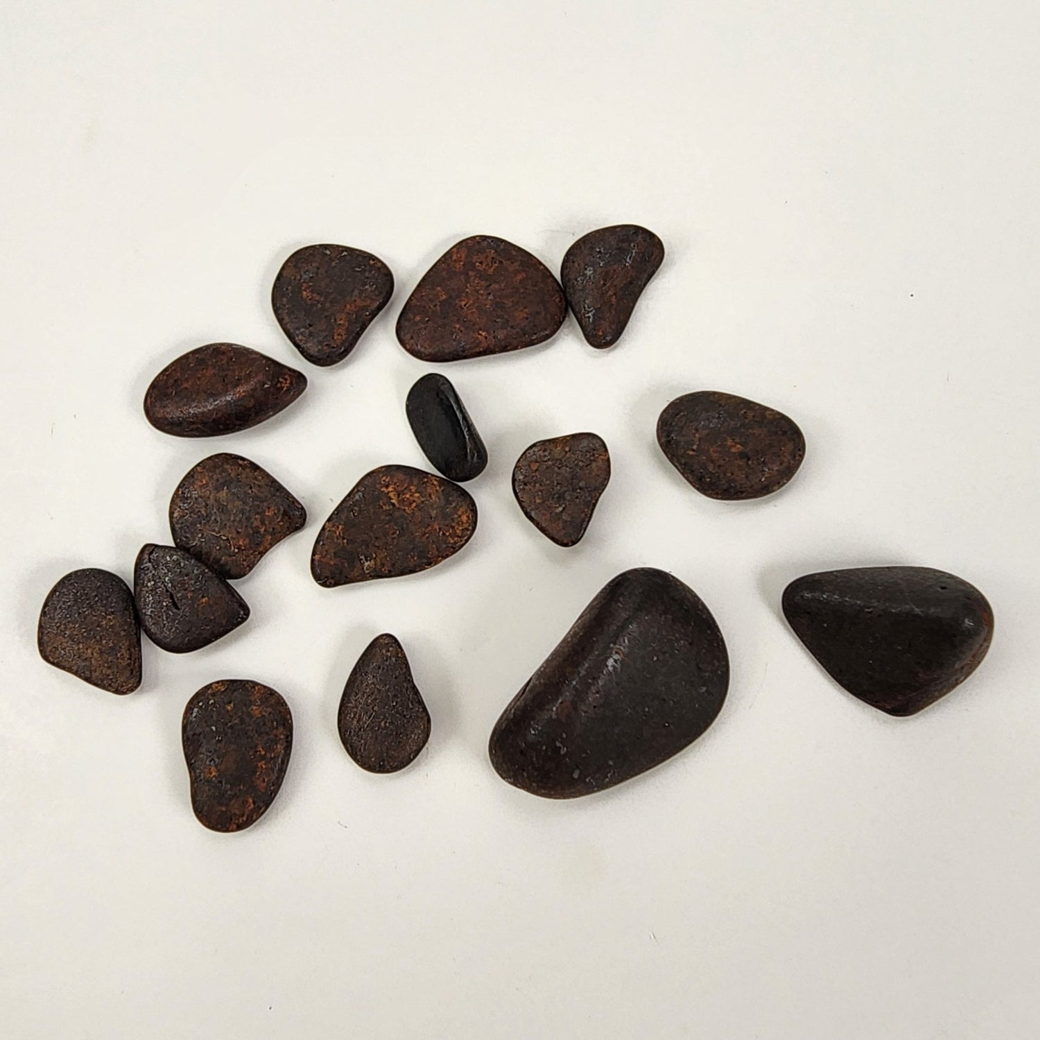   Northwest Africa NWA Meteorite | 15 Piece Lot | 8.8 Grams | Tumbled Individual Meteorites | Sahara 