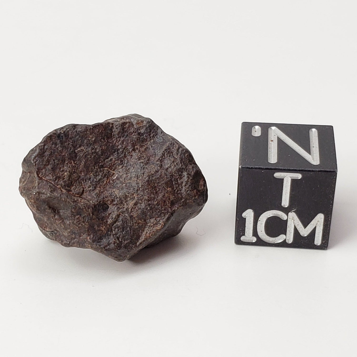 NWA 4293 Meteorite | 4.35 Grams | Individual | H6 Chondrite