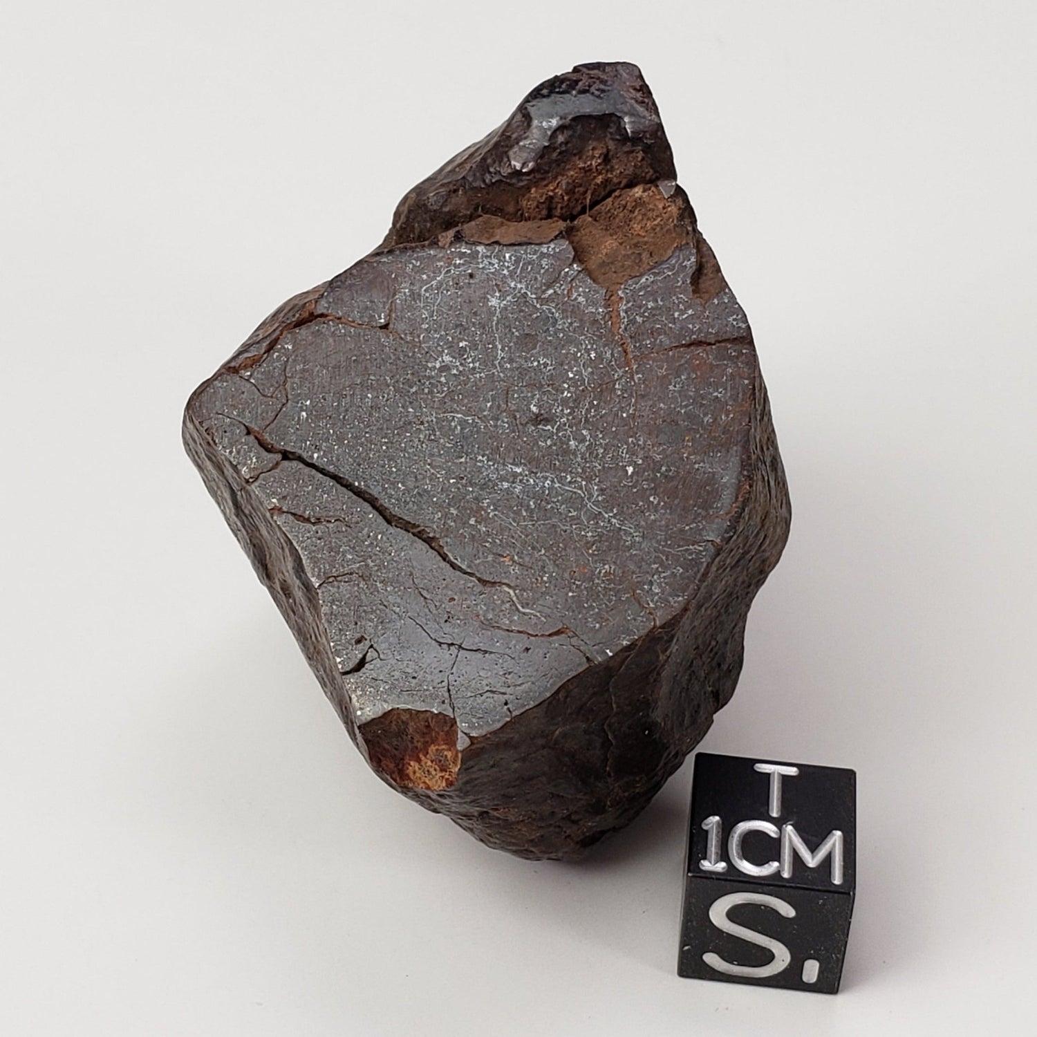 Northwest Africa NWA Meteorite | 109.4 Grams | End Cut | Sahara