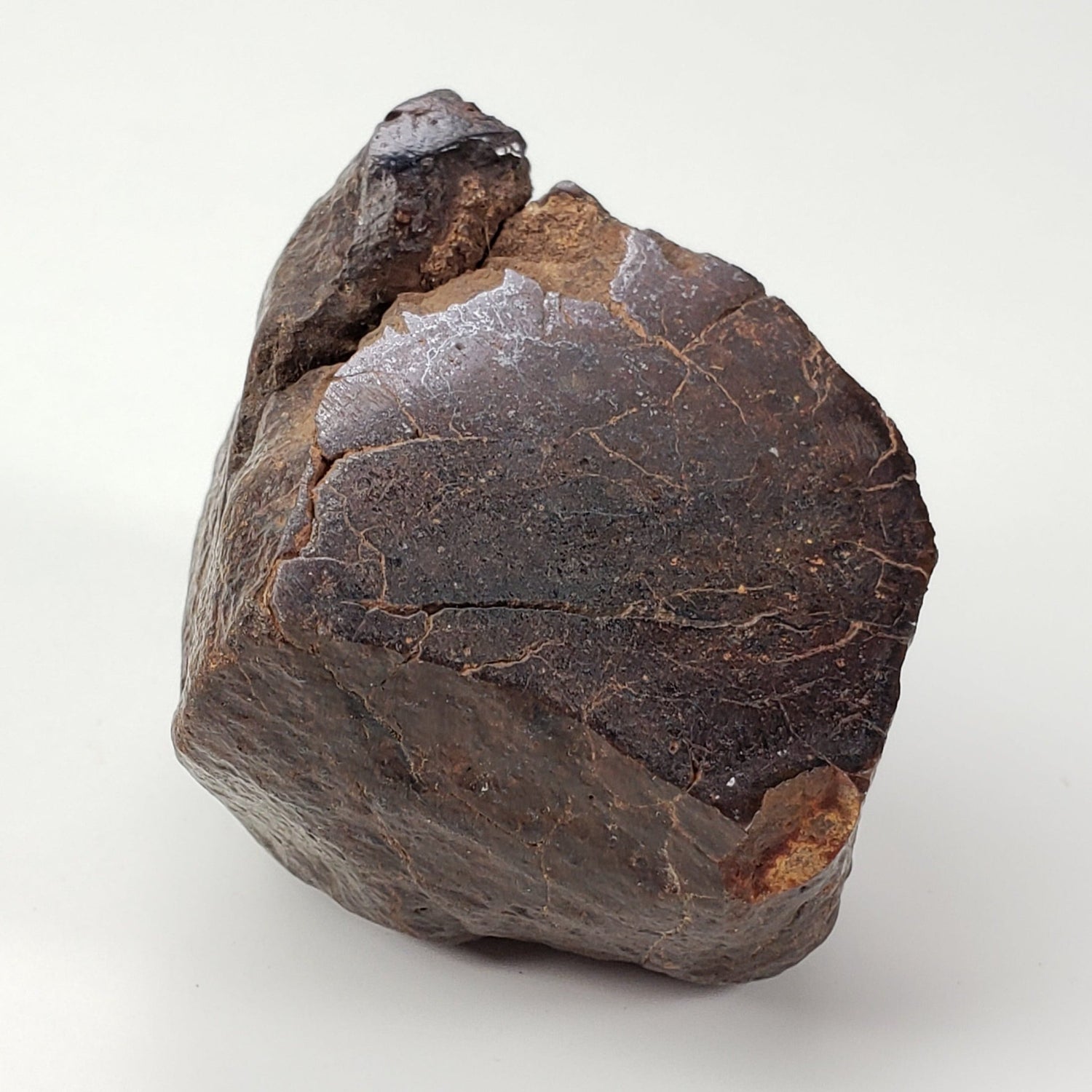 Northwest Africa NWA Meteorite | 109.4 Grams | End Cut | Sahara