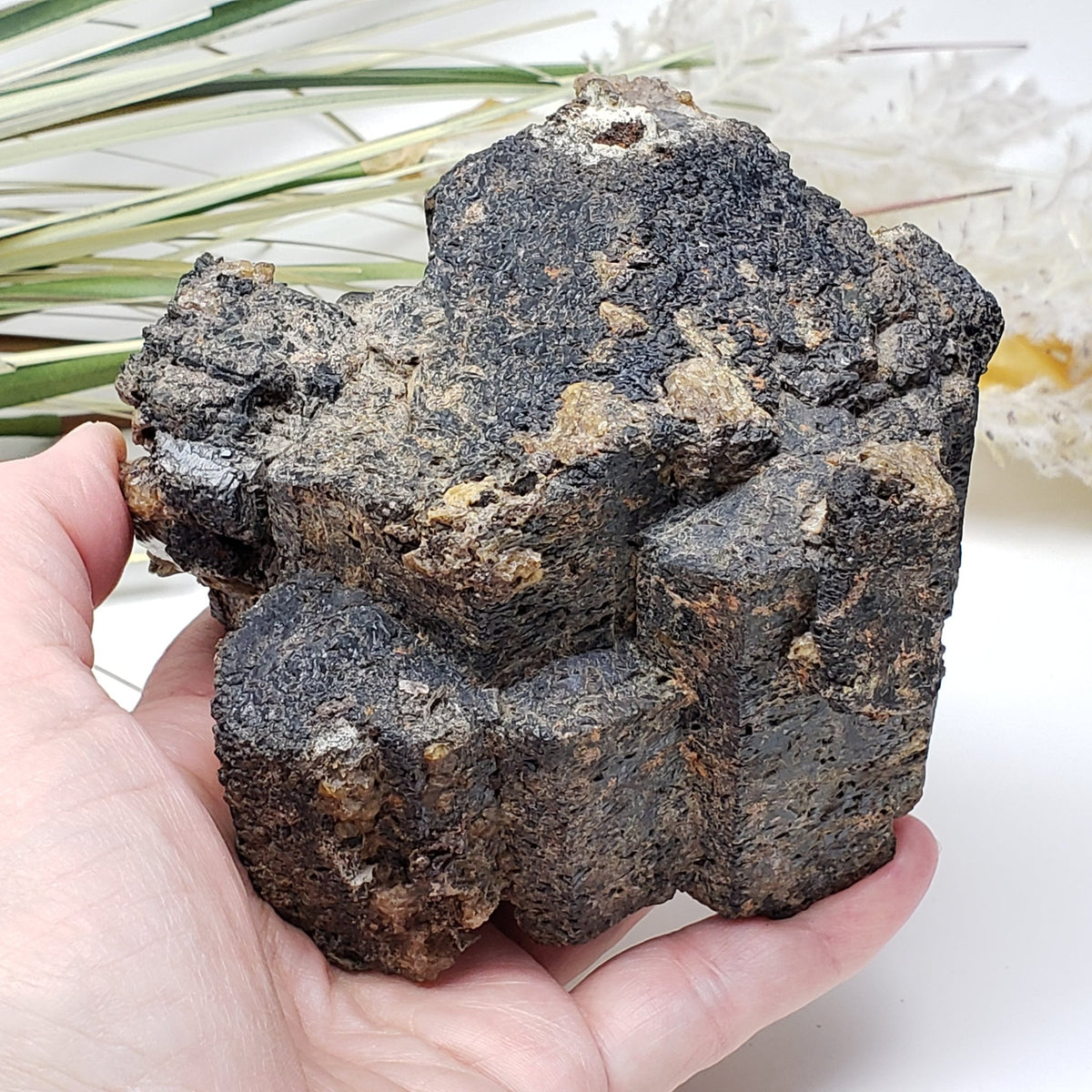  Natural Hornblende | Raw Crystal | 1.07 Kg | Tory Hill, Ontario Canada 