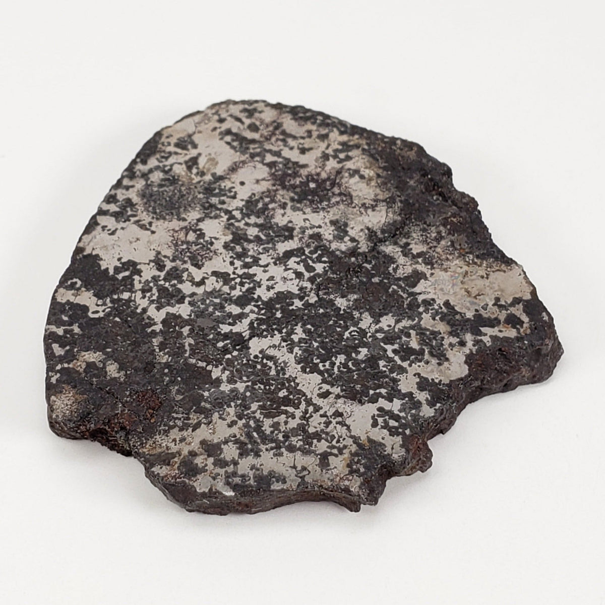 Campo del Cielo Meteorite | 16.9 Grams | Premium Silicated Slice | Iron IAB-MG | Argentina
