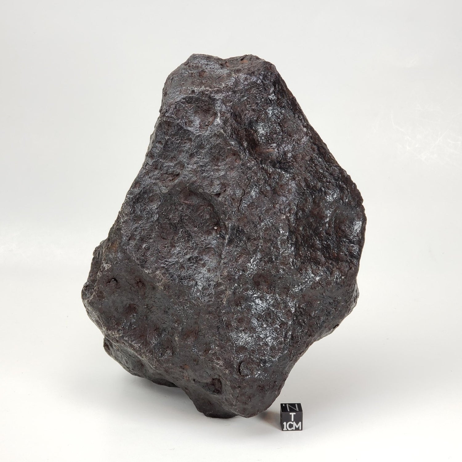 Campo del Cielo Meteorite | 7.4 Kg | Individual | Iron IAB-MG | Massive | Thumbprints | Argentina