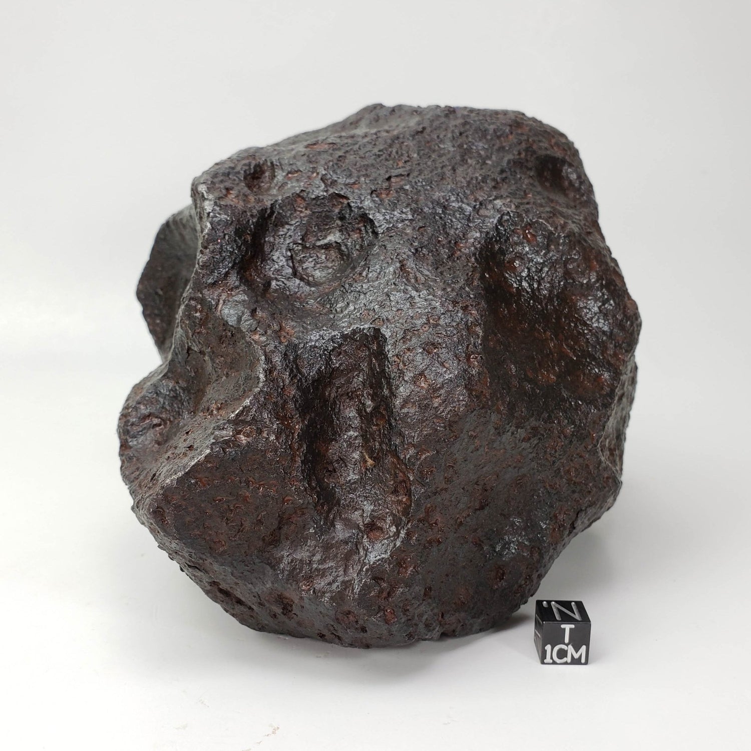Campo del Cielo Meteorite | Massive 10 KG | Iron IAB-MG | Regmaglypts | Canagem.com