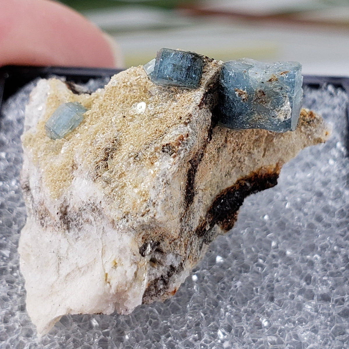  Fluorapatite Crystals on Matrix | Perky Box Thumbnail Specimen | Greenwood, Maine 