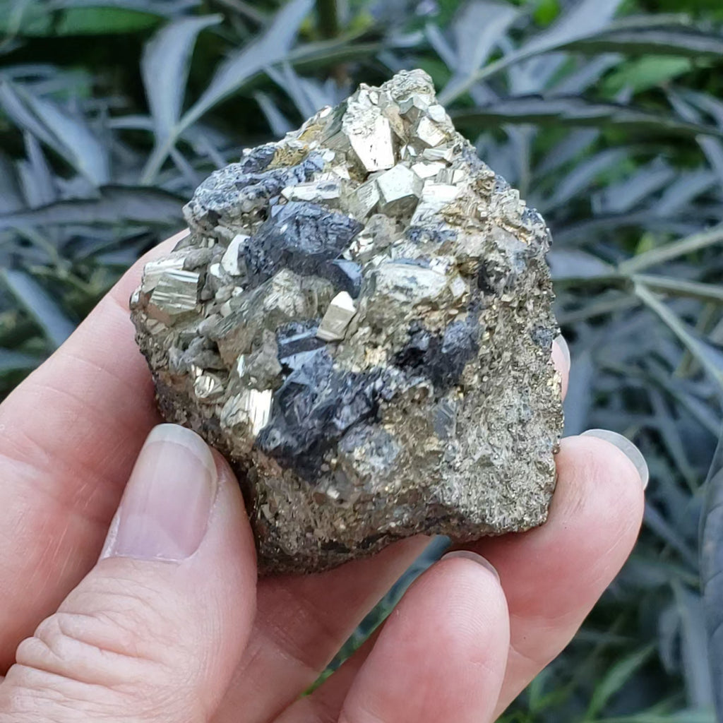 Pyrite on Marmatite Crystal Cluster | 248 grams | Eagle X Mine, Colorado Classic