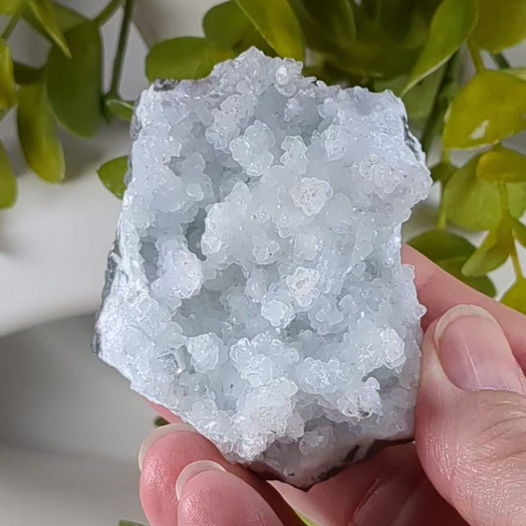 Prehnite and Apophyllite Crystal Cluster | 145 gr | Bombay, India
