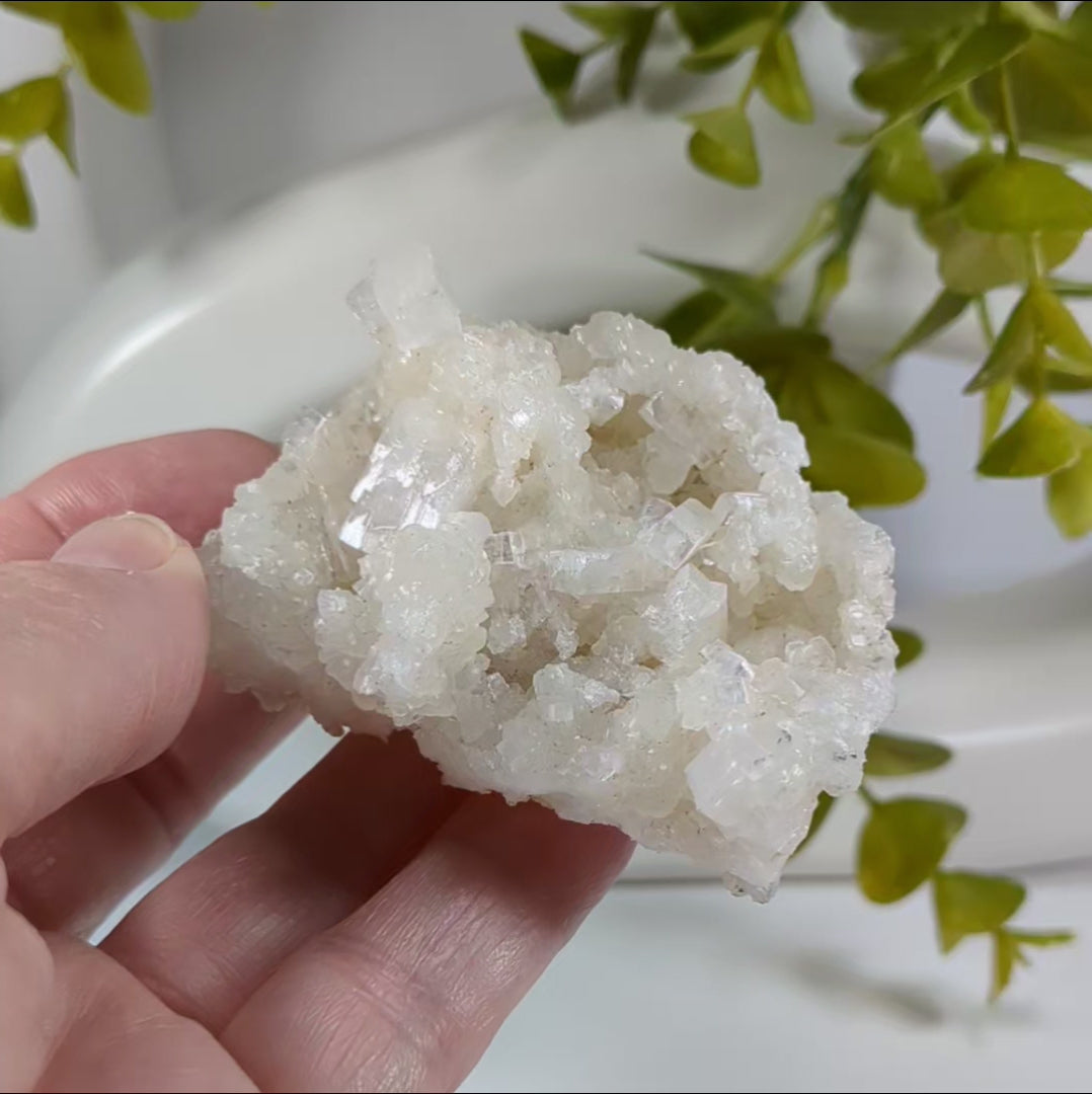 Apophyllite and Prehnite Crystal Cluster | 85 grams | Bombay, India