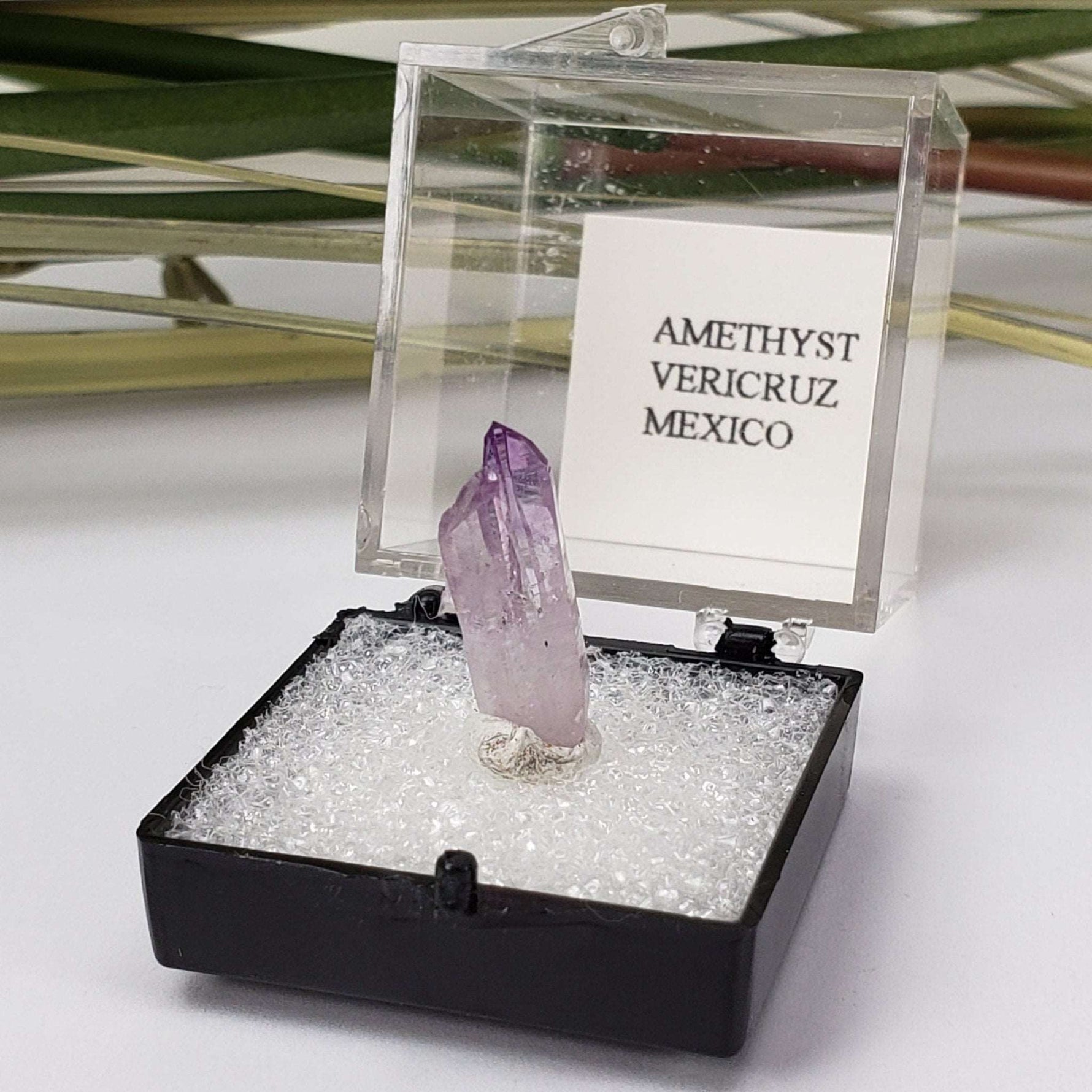  Amethyst | Perky Box Thumbnail Specimen | Veracruz, Mexico | SO24 4