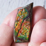  Ammolite Gem | Ammonite | Fancy Cabochon | 38x16 mm 28.40 CT | Canada | SO24 