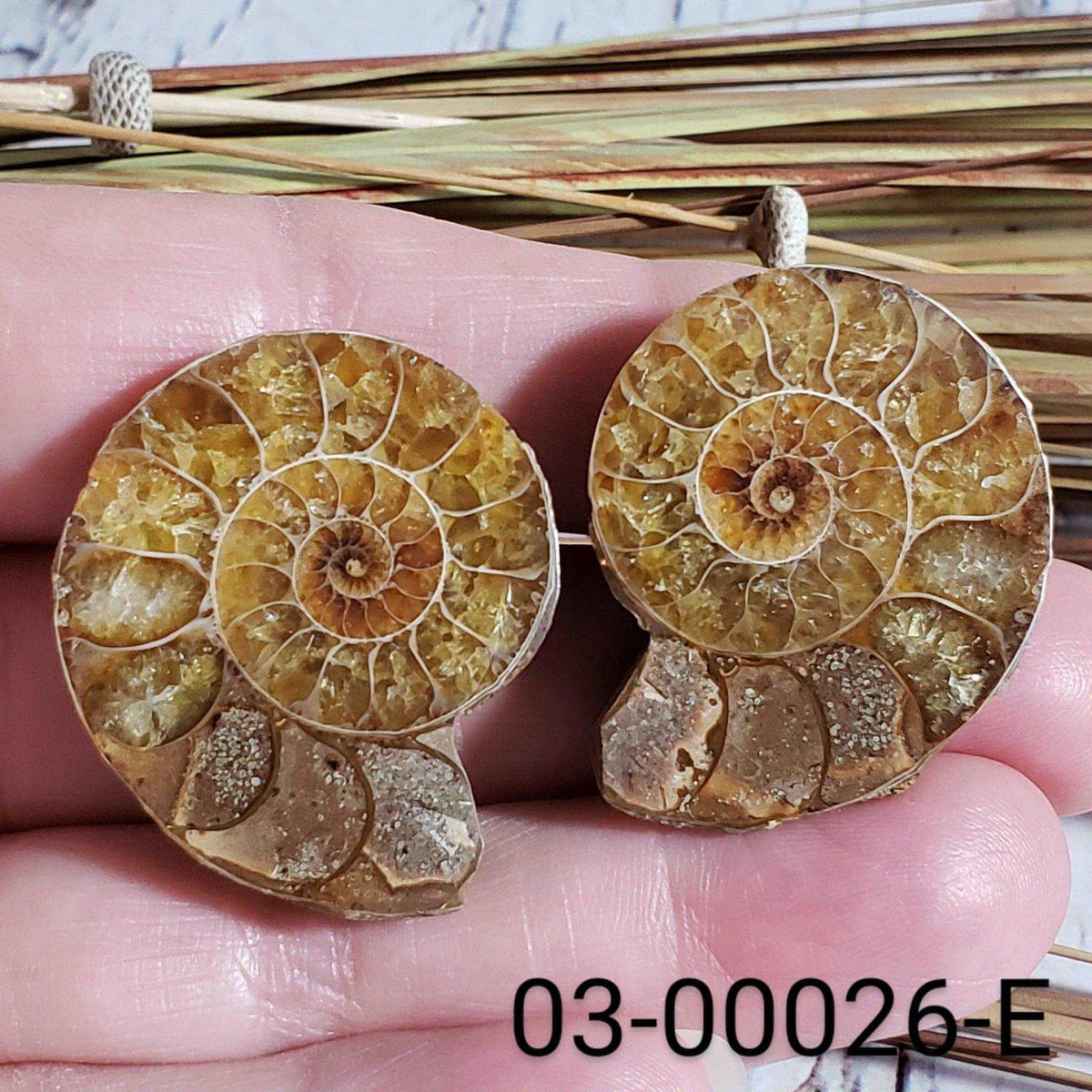  Ammonite Fossil | 32-34 mm | Superb Polished | Premium Matching Halves 1