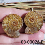  Ammonite Fossil | 32-34 mm | Superb Polished | Premium Matching Halves 1
