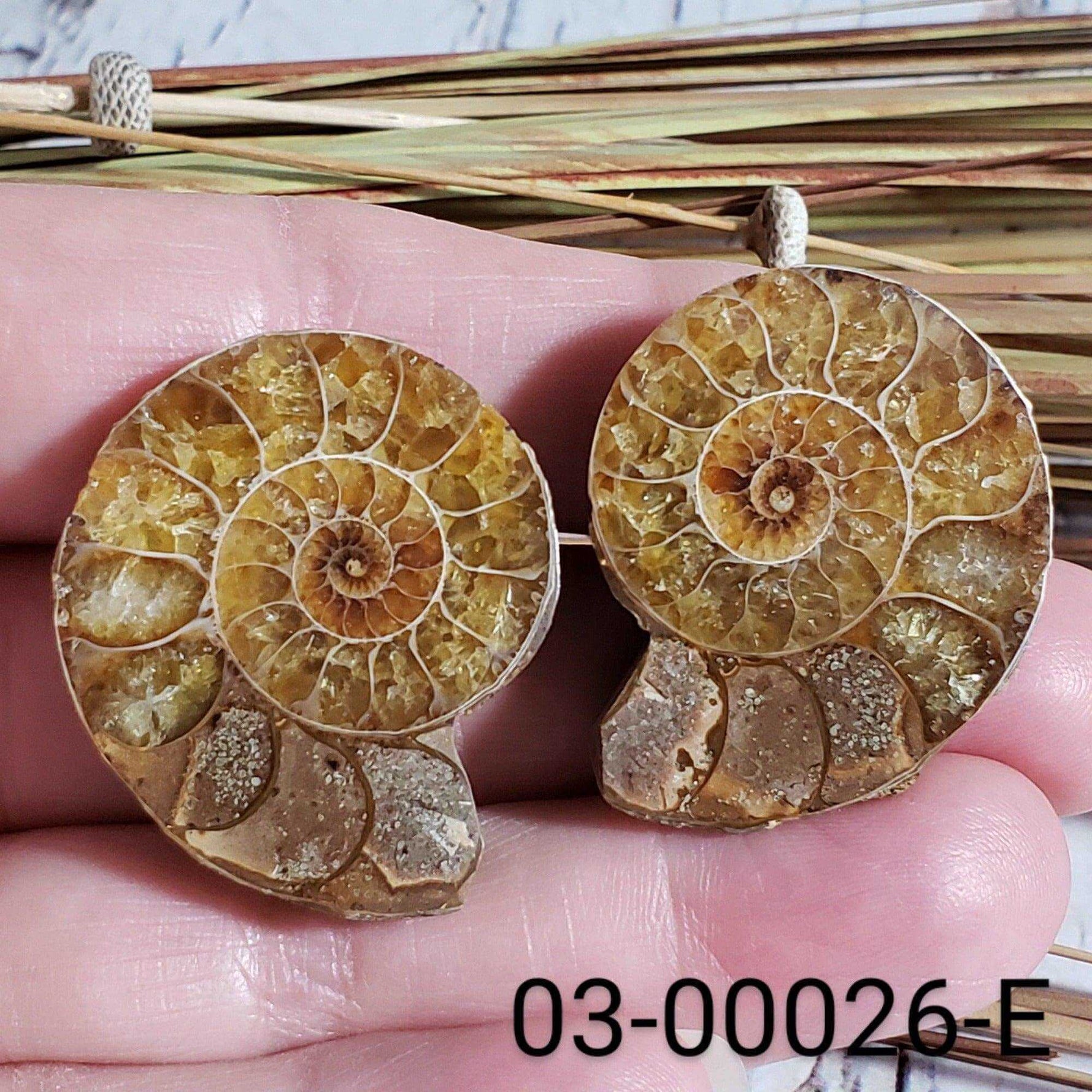  Ammonite Fossil | 32-34 mm | Superb Polished | Premium Matching Halves 1