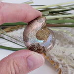  Ammonite Fossil Pair | Polished Matching Halves | Iridescent Ammonite | 35x28mm | SO24 5