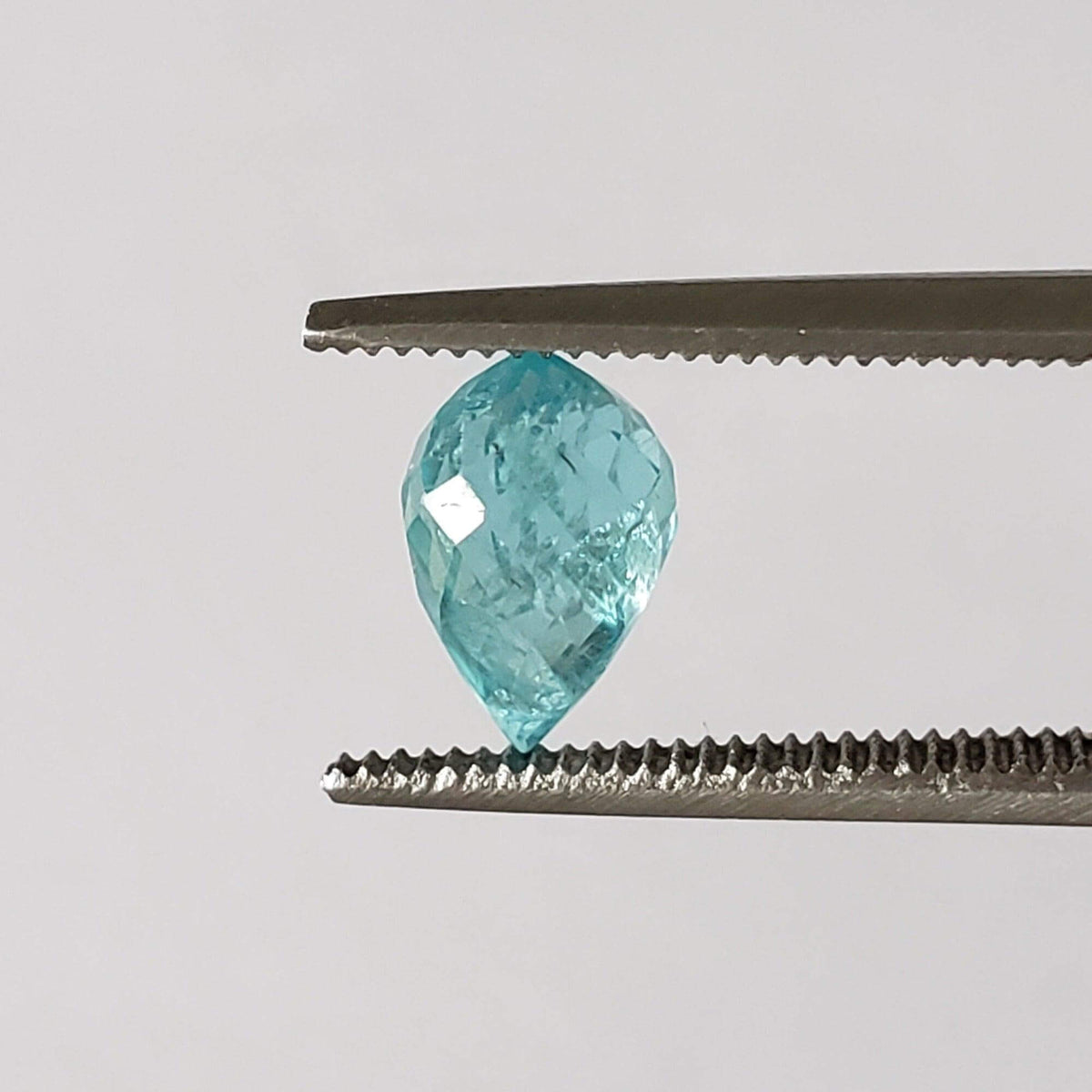  Apatite | Briolette | Neon Blue | 7.5x5mm 1.36ct | SO24 