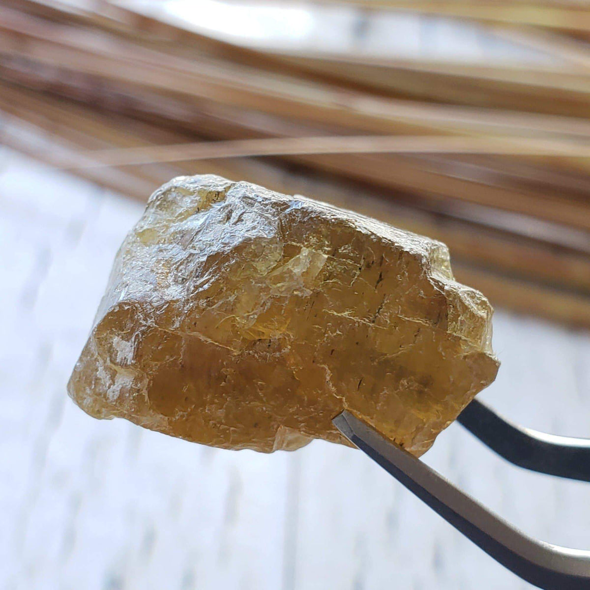  Apatite Cats Eye | Rough Apatite | Dark Olive Green | 45.10ct | Africa | SO24 2