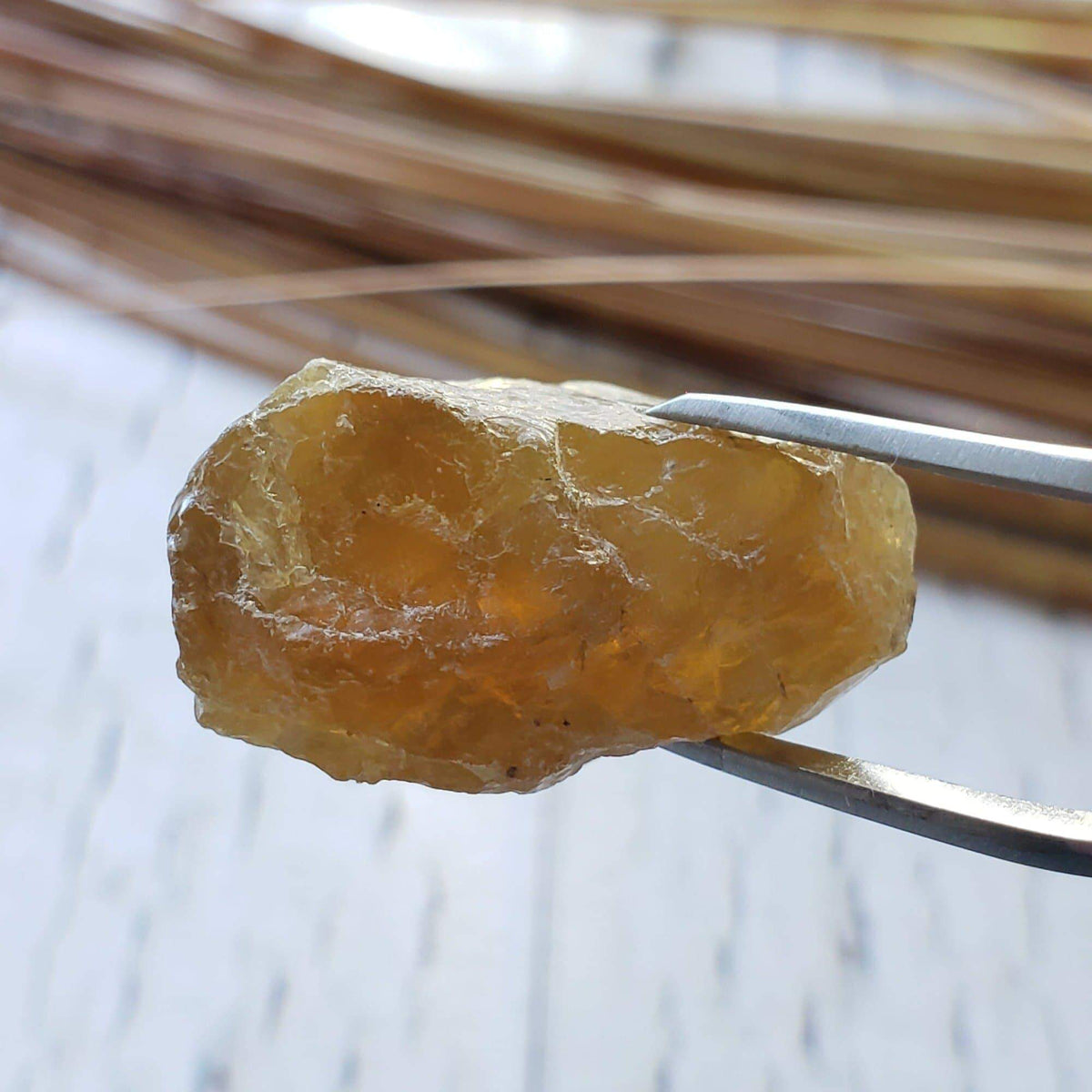  Apatite Cats Eye | Rough Apatite | Dark Olive Green | 45.10ct | Africa | SO24 3