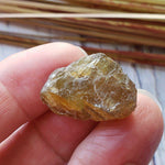  Apatite Cats Eye | Rough Apatite | Dark Olive Green | 45.10ct | Africa | SO24 4