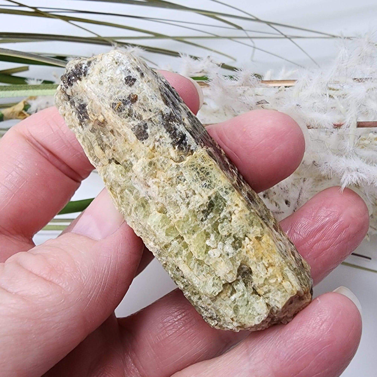  Apatite Crystals | 81.9 Grams | Tory Hill, Ontario, Canada 3