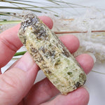  Apatite Crystals | 81.9 Grams | Tory Hill, Ontario, Canada 4