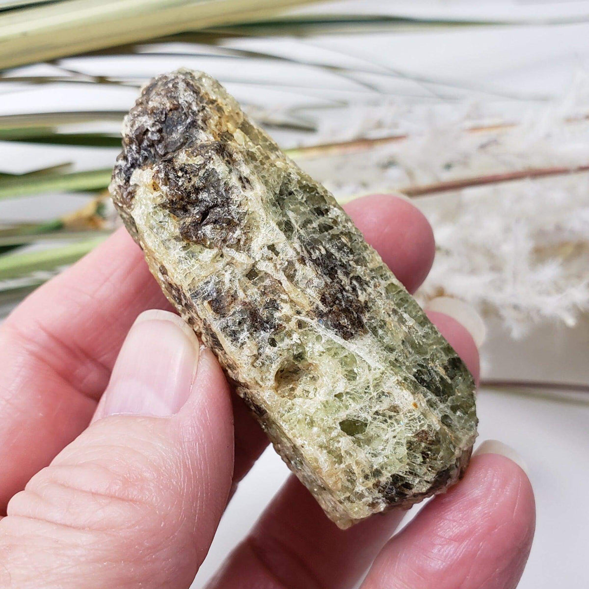  Apatite Crystals | 81.9 Grams | Tory Hill, Ontario, Canada 5