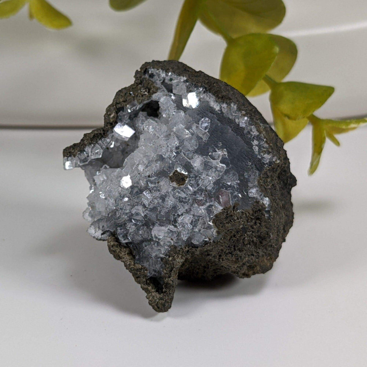  Apophyllite Cluster Crystal | 51 grams | Jalgaon, India | SO24 1