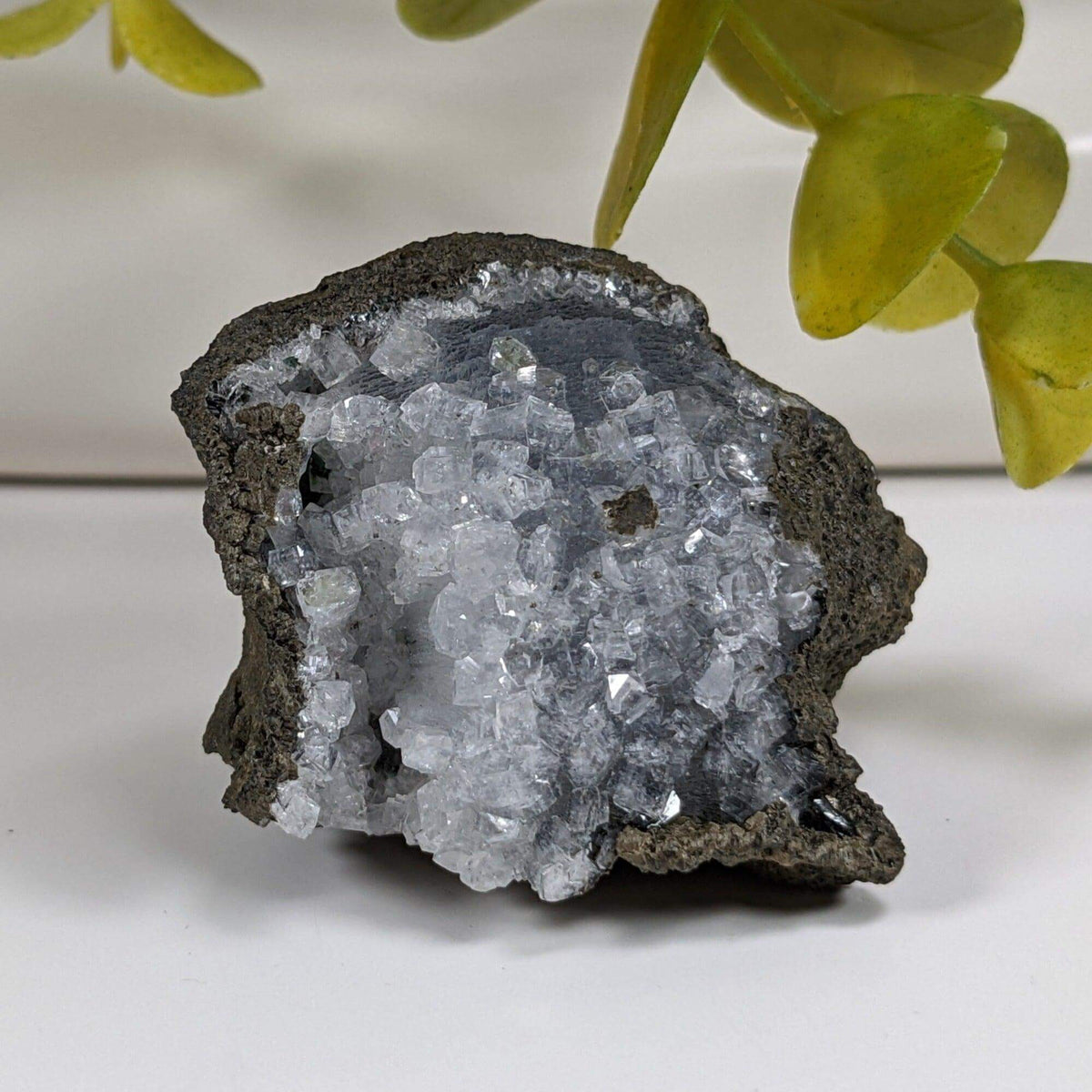  Apophyllite Cluster Crystal | 51 grams | Jalgaon, India | SO24 2