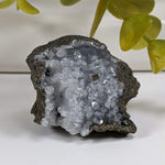  Apophyllite Cluster Crystal | 51 grams | Jalgaon, India | SO24 2