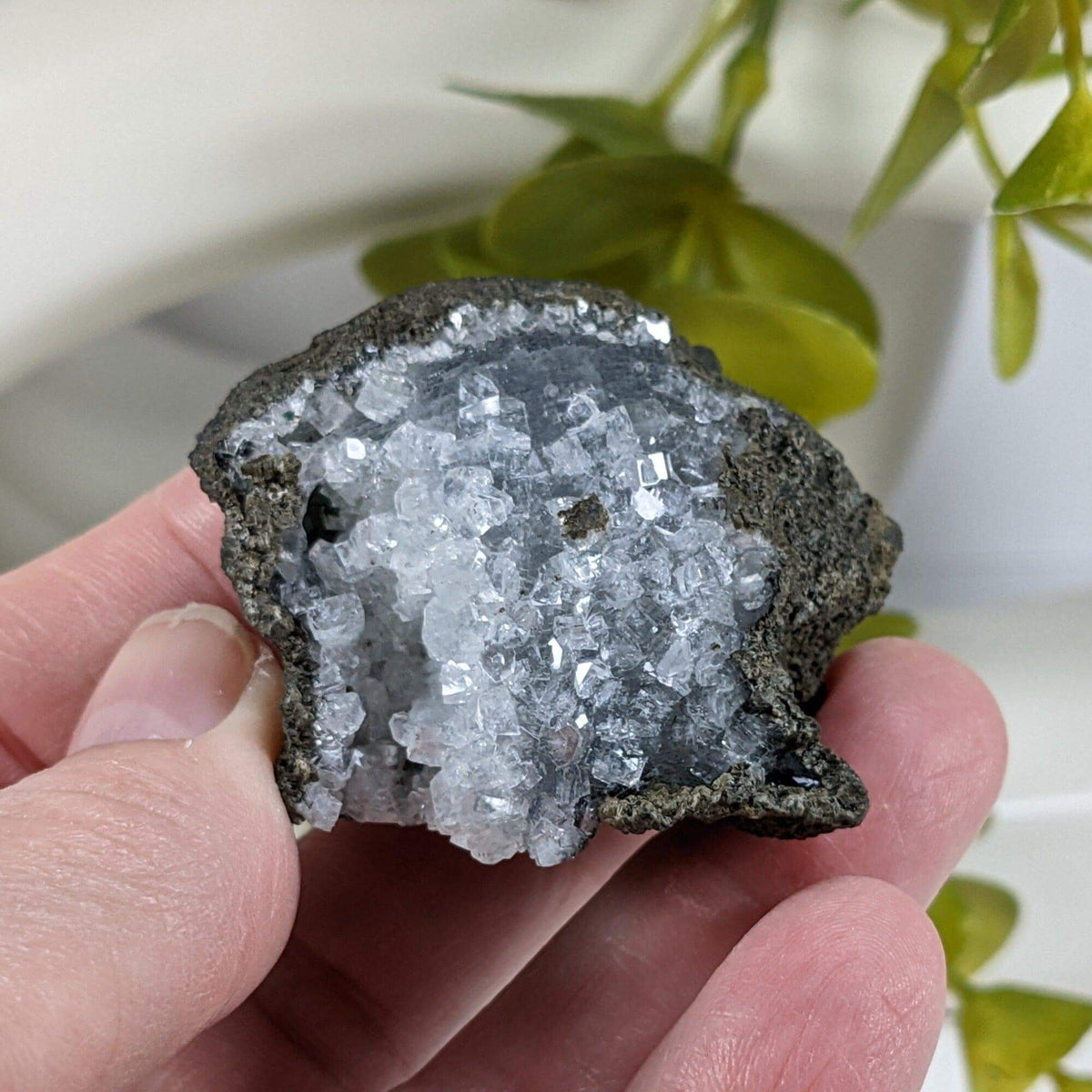 Apophyllite Cluster Crystal | 51 grams | Jalgaon, India | SO24 3
