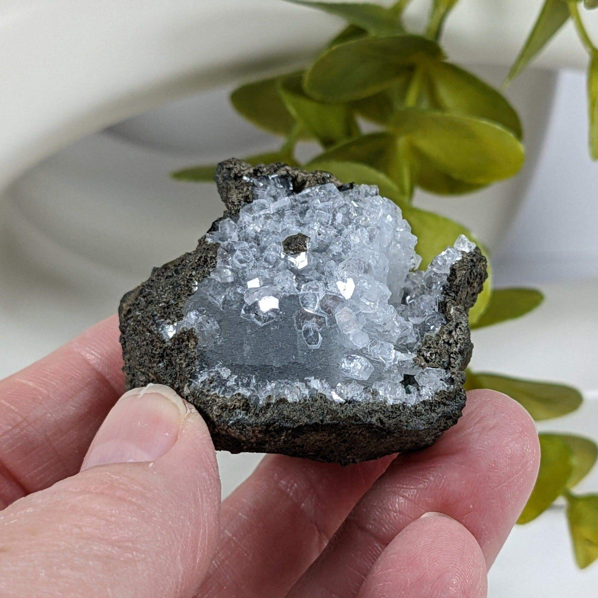  Apophyllite Cluster Crystal | 51 grams | Jalgaon, India | SO24 6