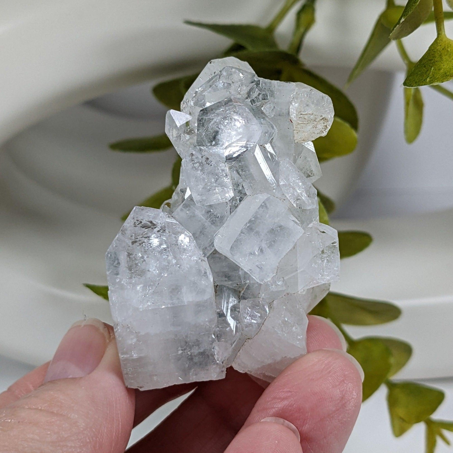  Apophyllite Cluster Crystal | 61 grams | Jalgaon, India | SO24 