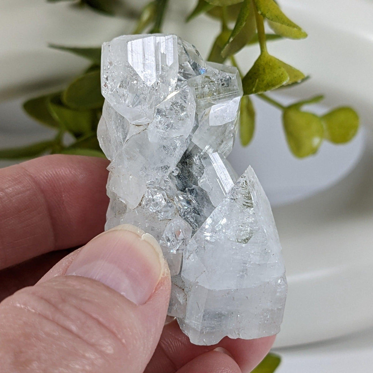  Apophyllite Cluster Crystal | 61 grams | Jalgaon, India | SO24 2