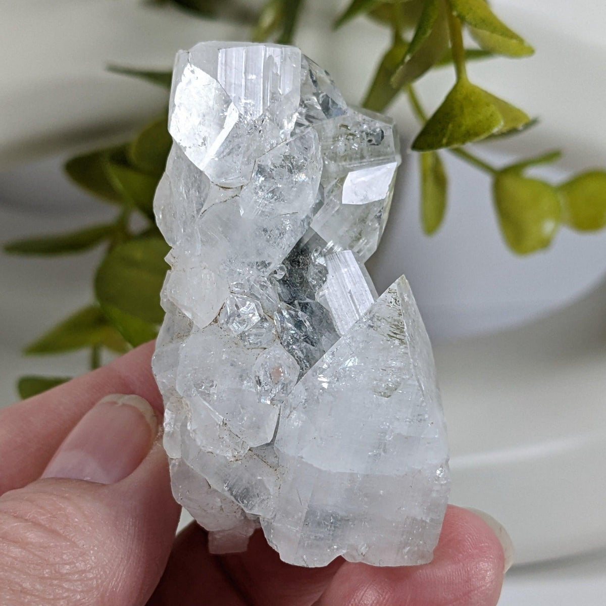  Apophyllite Cluster Crystal | 61 grams | Jalgaon, India | SO24 3