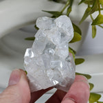  Apophyllite Cluster Crystal | 61 grams | Jalgaon, India | SO24 4