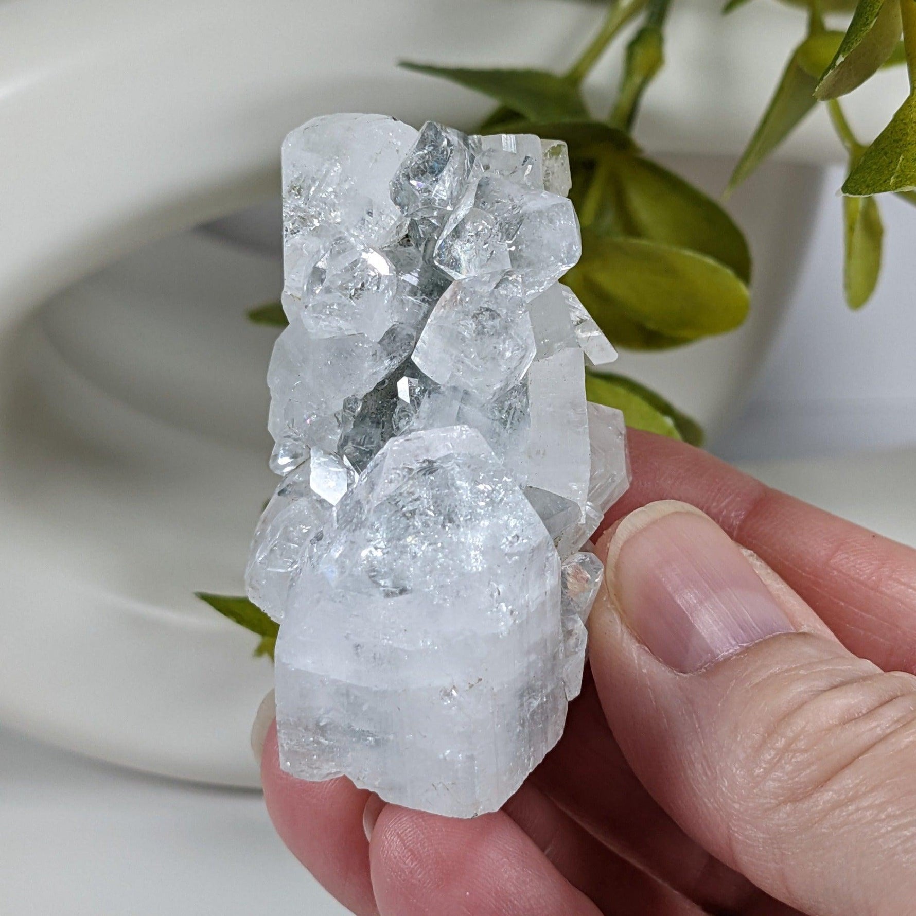  Apophyllite Cluster Crystal | 61 grams | Jalgaon, India | SO24 6