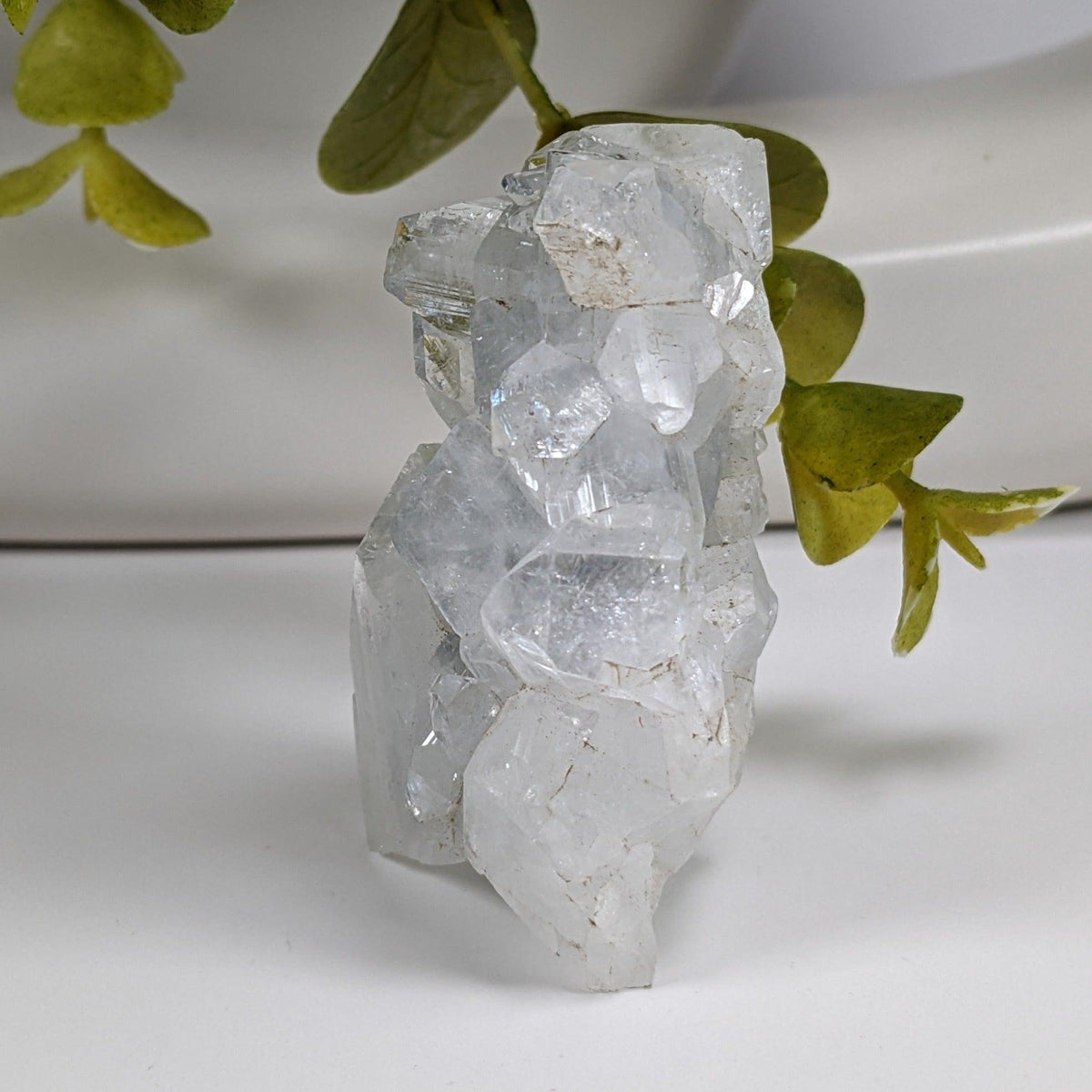  Apophyllite Cluster Crystal | 61 grams | Jalgaon, India | SO24 8