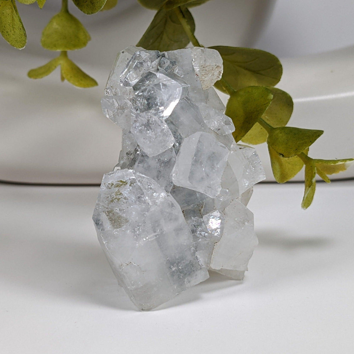 Apophyllite Cluster Crystal | 61 grams | Jalgaon, India | SO24 9