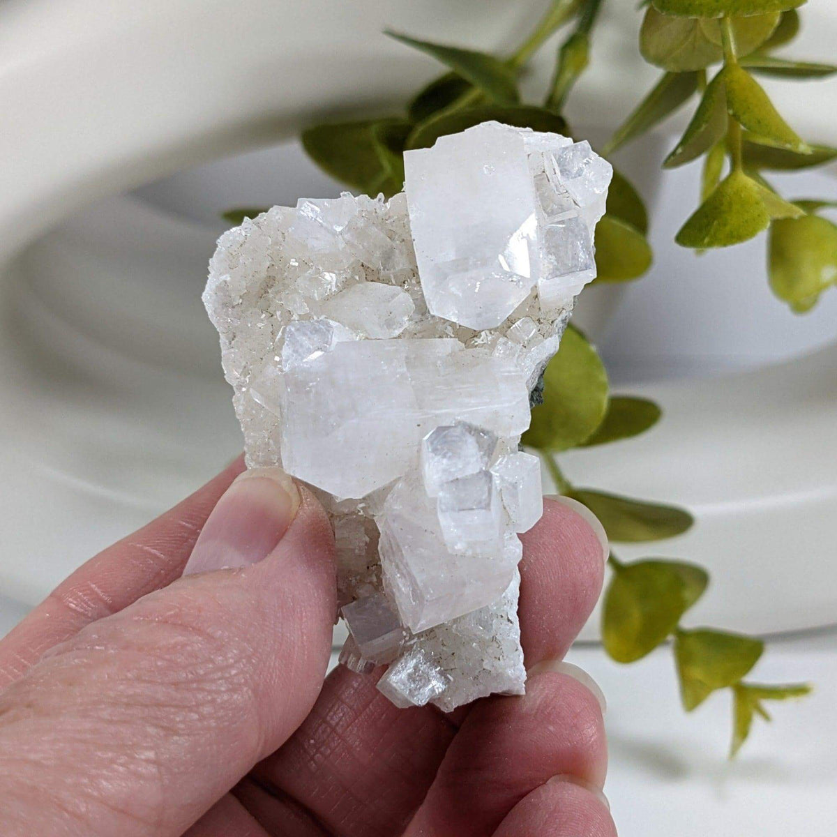  Apophyllite Crystal on Prehnite Cluster | 68 grams | Mumbai, India 