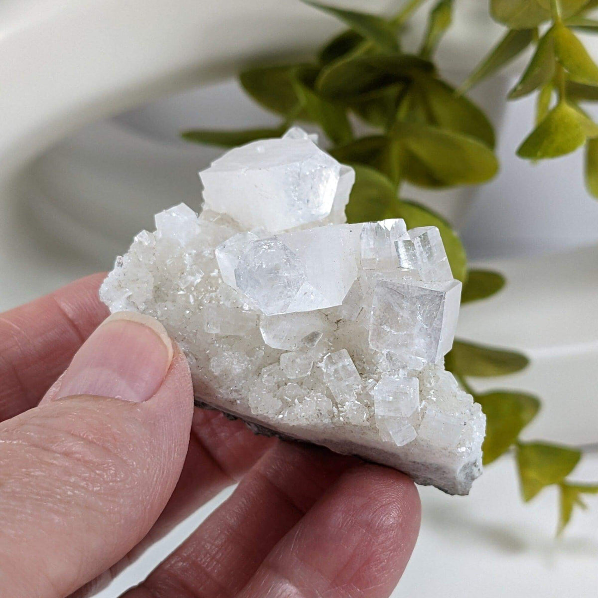  Apophyllite Crystal on Prehnite Cluster | 68 grams | Mumbai, India 1