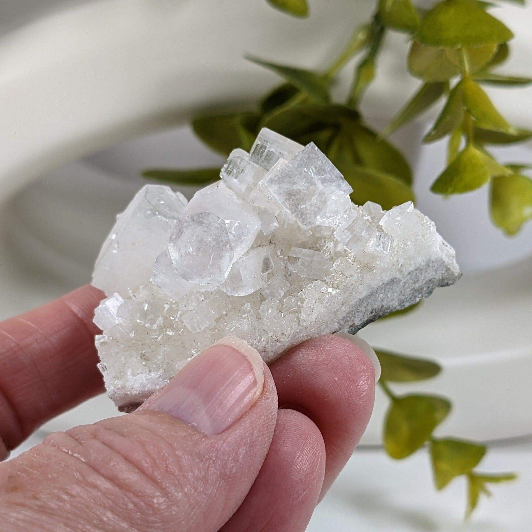  Apophyllite Crystal on Prehnite Cluster | 68 grams | Mumbai, India 3