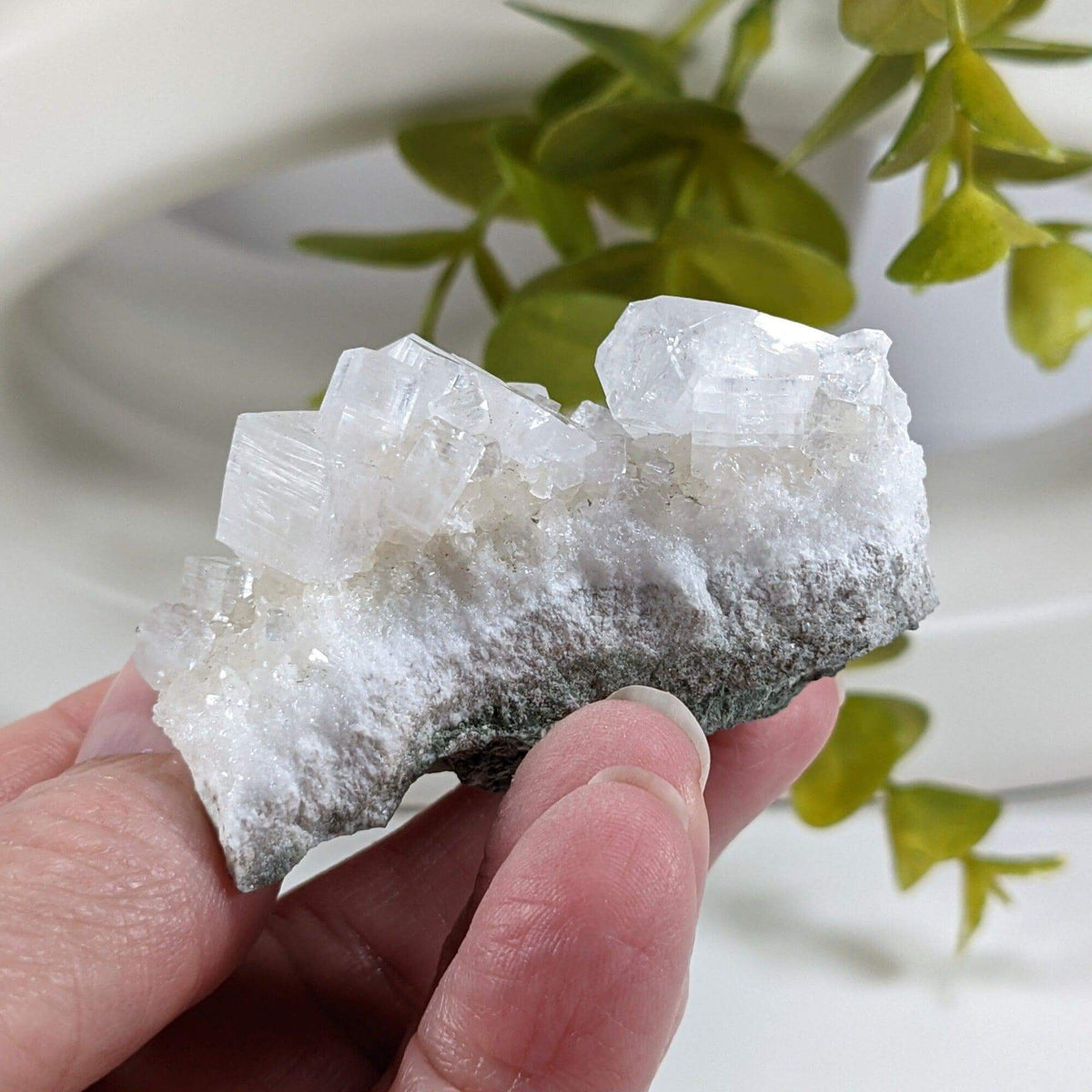  Apophyllite Crystal on Prehnite Cluster | 68 grams | Mumbai, India 5