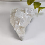  Apophyllite Crystal on Prehnite Cluster | 68 grams | Mumbai, India 6