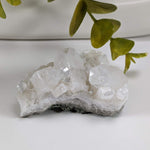  Apophyllite Crystal on Prehnite Cluster | 68 grams | Mumbai, India 7