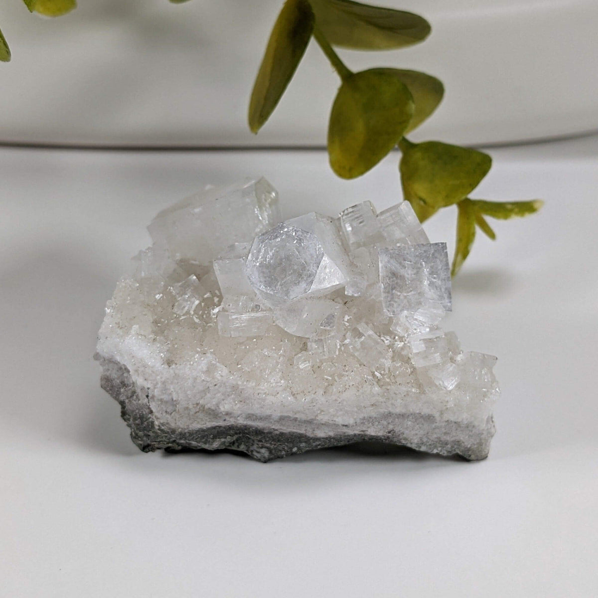  Apophyllite Crystal on Prehnite Cluster | 68 grams | Mumbai, India 8
