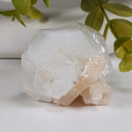  Apophyllite Stilbite Crystal | 105.4 grams | Jalgaon, India | SO24 2