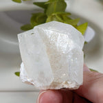  Apophyllite Stilbite Crystal | 105.4 grams | Jalgaon, India | SO24 6