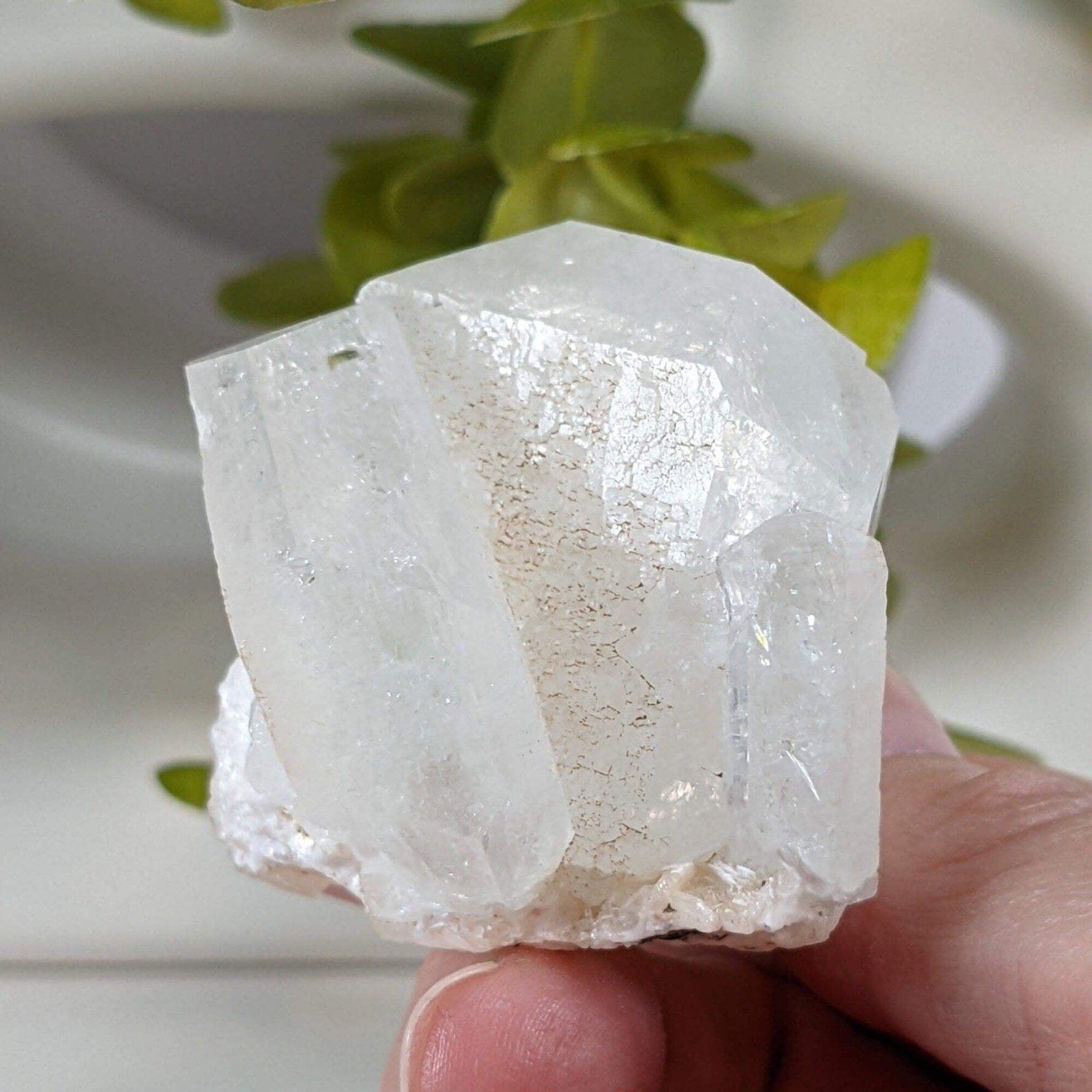  Apophyllite Stilbite Crystal | 105.4 grams | Jalgaon, India | SO24 6