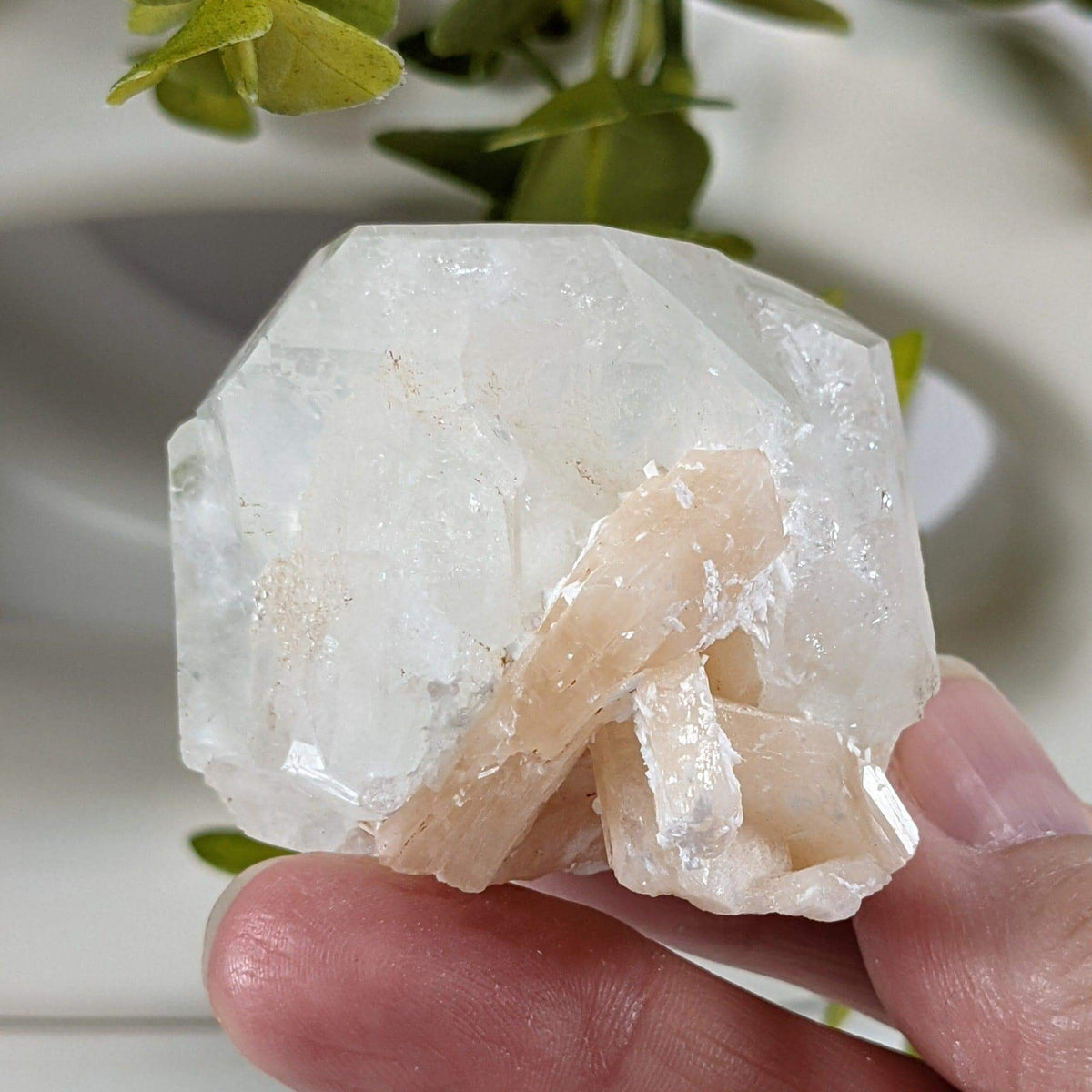  Apophyllite Stilbite Crystal | 105.4 grams | Jalgaon, India | SO24 8
