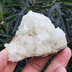  Apophyllite and Prehnite Cluster | 131 grams | Jalgaon, India | SO24 3